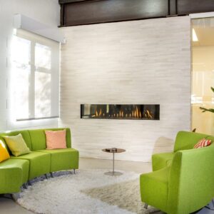 Ortal Direct Vent Fireplace