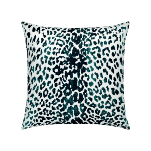 Wild One Midnight