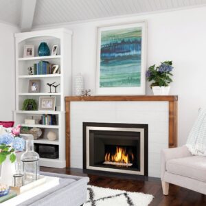 Valor G4 Gas Insert
