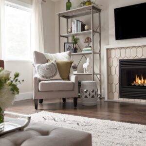 Valor Horizon Gas Fireplace