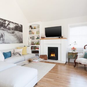 Valor Portrait Gas Fireplace