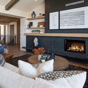 Valor LT1 Tall Linear Gas Fireplace